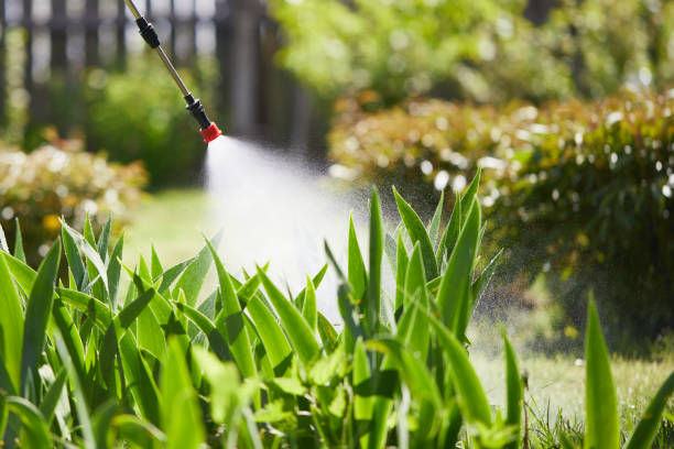 24/7 Emergency Fumigation Services experts in Gibbon, NE