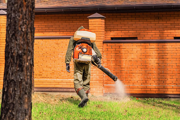 Trusted Termite Control service in Gibbon, NE - Nex Pest Control